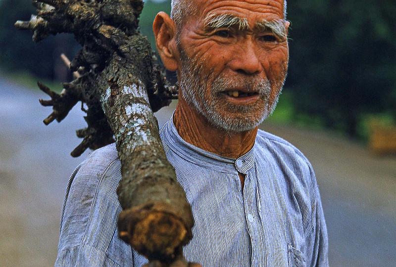 1952-3 Japan 103.jpg